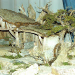 1363-1.jpg 1363-1.jpg