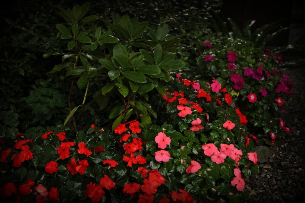 [IMG_1739%255B3%255D.jpg]
