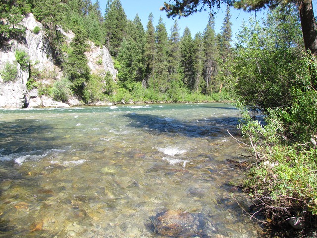 IMG_1495 IMG_1495