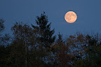 Vollmond Westerbeck