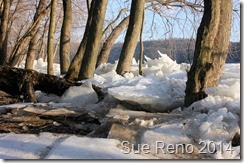 Ice Jam on the Susquehanna River, photo by Sue Reno