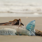 IMG_1869.JPG