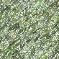 Seamless backgrounds of mosses12 Seamless backgrounds of mosses12