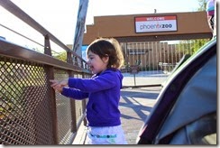 IMG_6447 IMG_6447