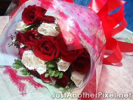 Over a dozen roses given to me by a past lover on our anniversary - JustAnotherPixel.net