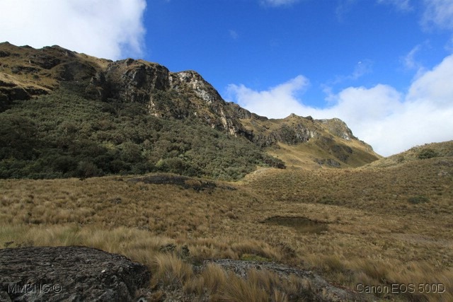 [IMG_3466%255B4%255D.jpg]