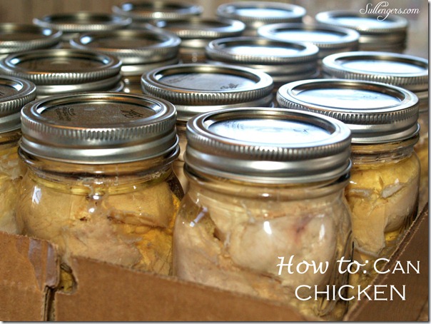 How to can chicken