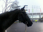 Coral Springs Globen 2011