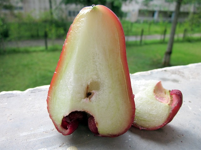 [streetfoodandfruit1649.jpg]