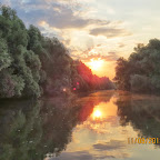 IMG_7246.JPG