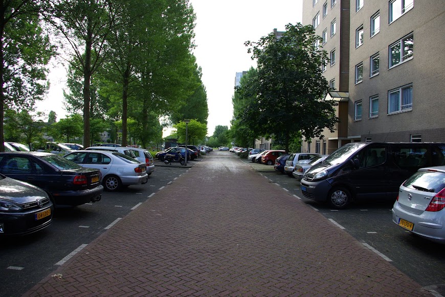 IMGP7056.JPG