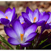 DSC_4281_edited-1.jpg
