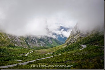 ff_140115_5355