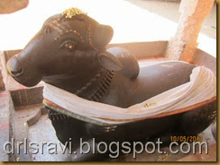 IMG_0133 IMG_0133