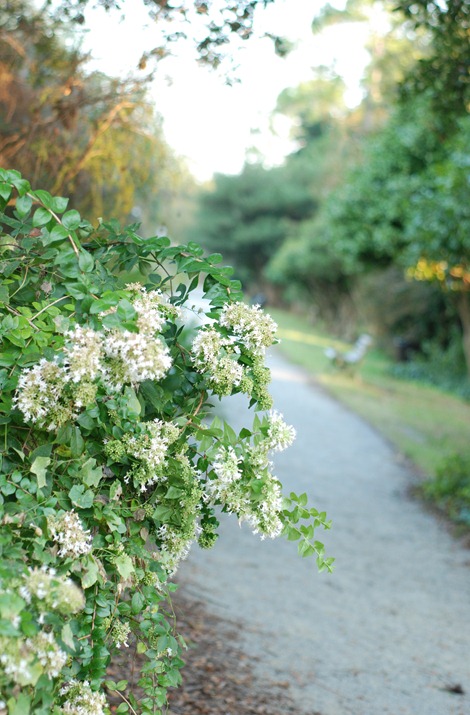 DSC_1428 DSC_1428