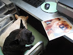 Unfortunately, this great photo of Paw Paw has been wrinkled.  We better save it before it gets worse.