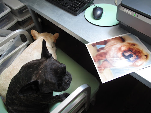 Unfortunately, this great photo of Paw Paw has been wrinkled.  We better save it before it gets worse.