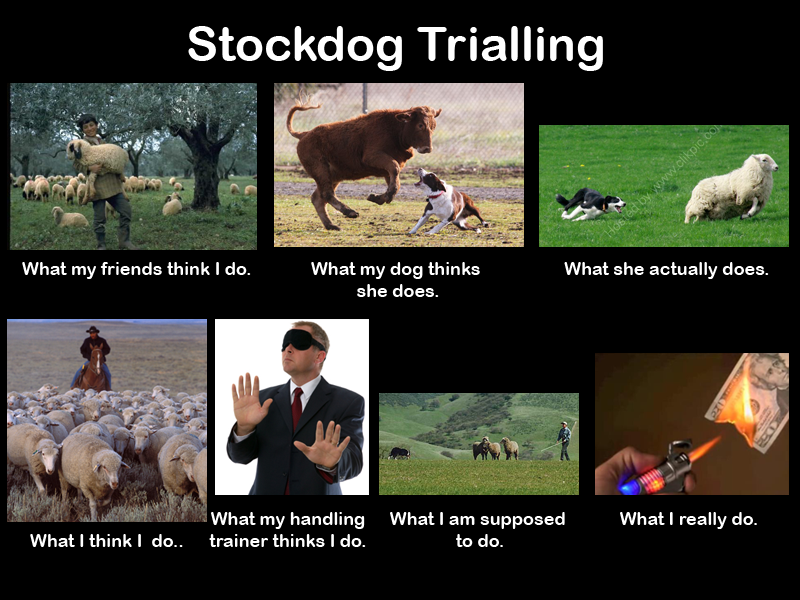 [trialing%255B3%255D.png]