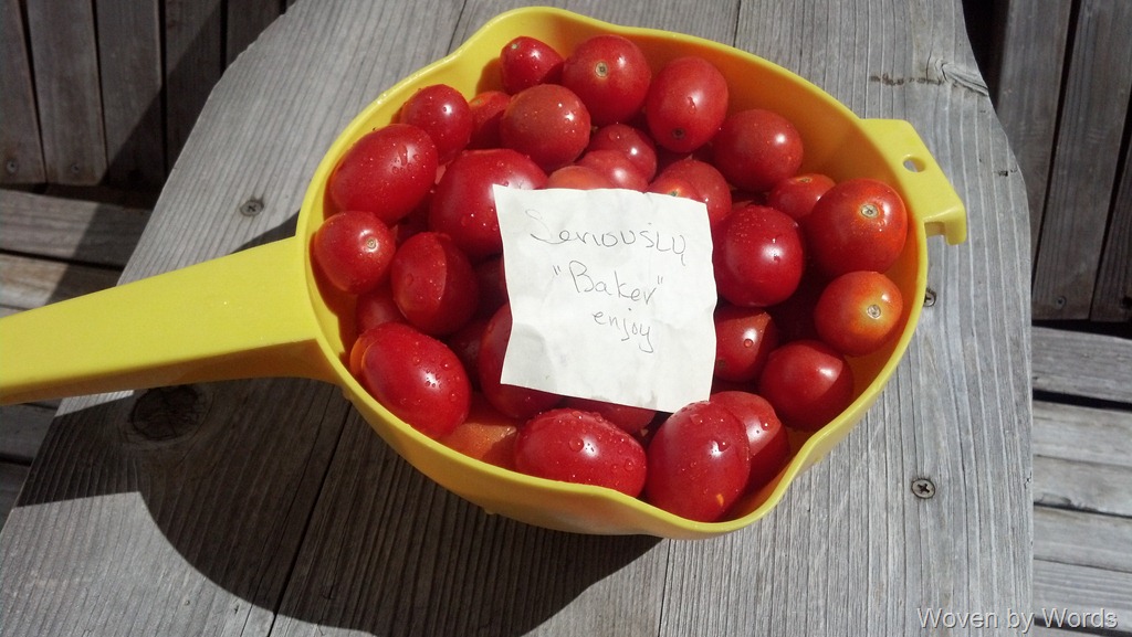 [cherry-tomato12.jpg]