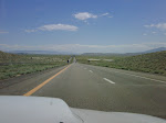 IMG00029-20090726-1330.jpg