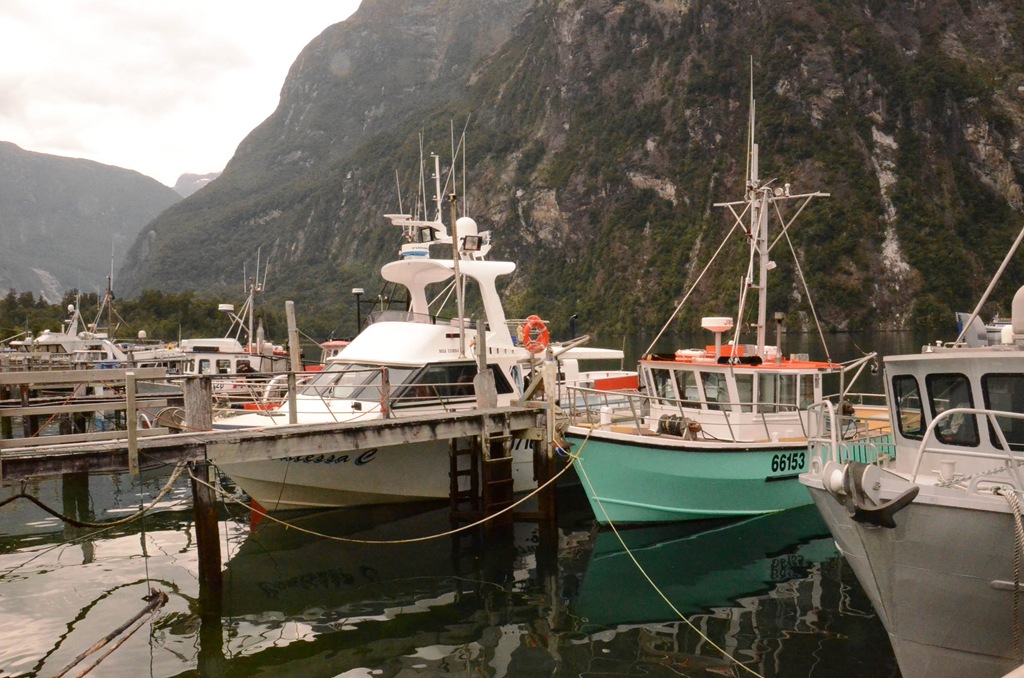 [milford%2520-%2520Nikon%2520020%255B3%255D.jpg]