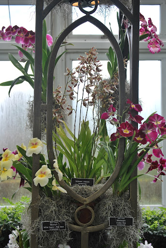 Every Broadway show has divas. Each column in the space had orchid 