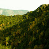11 10 16 Devesa de Rogueira (O Caurel) Lugo
