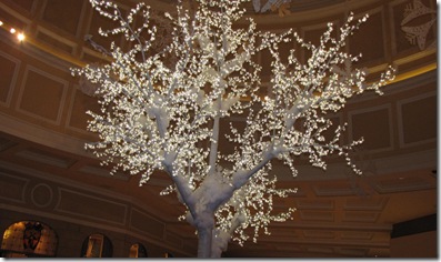 IMG_0616 IMG_0616