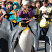hokkaido_330.jpg