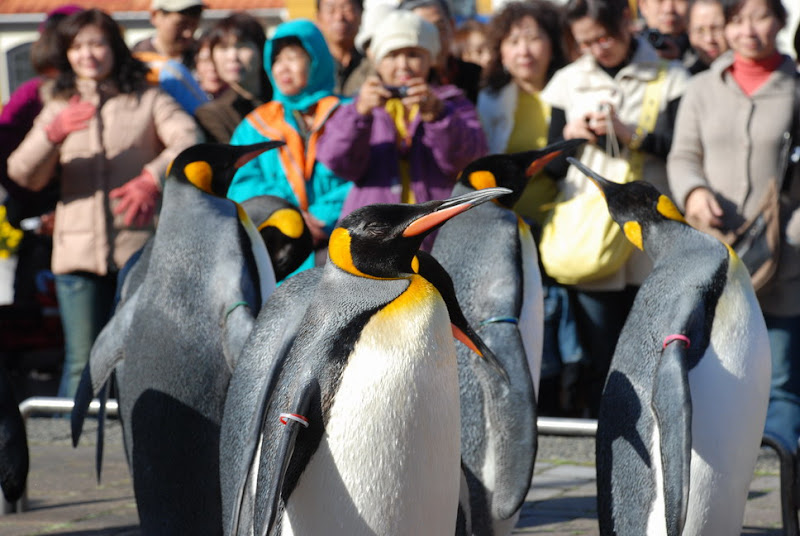 hokkaido_330.jpg