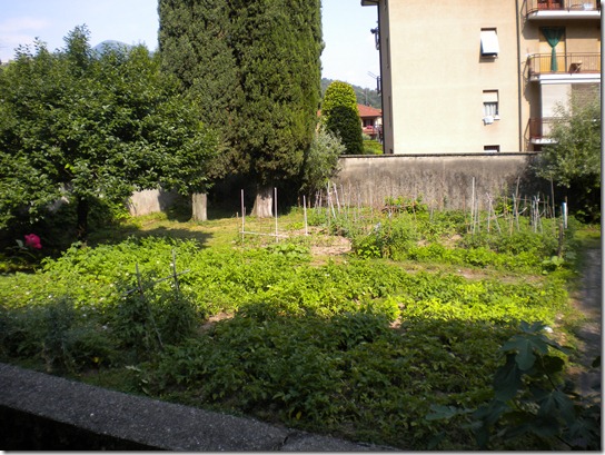 DSCN1559 DSCN1559