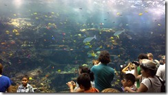 2012-07-16_12-49-30_829 2012-07-16_12-49-30_829