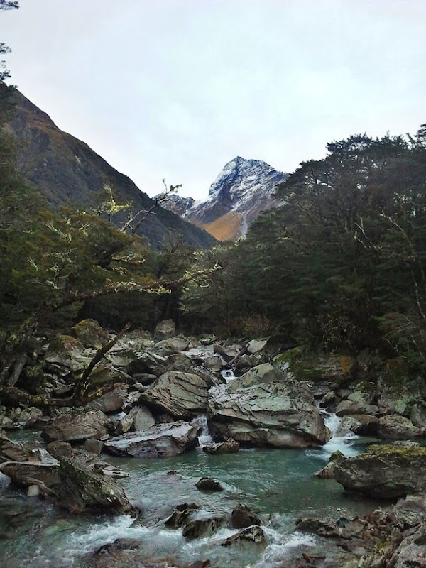 Rob Roy Glacier Track