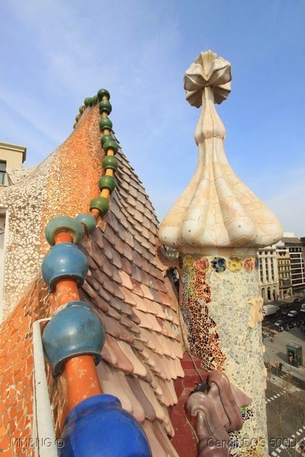 [IMG_0359%255B4%255D.jpg]