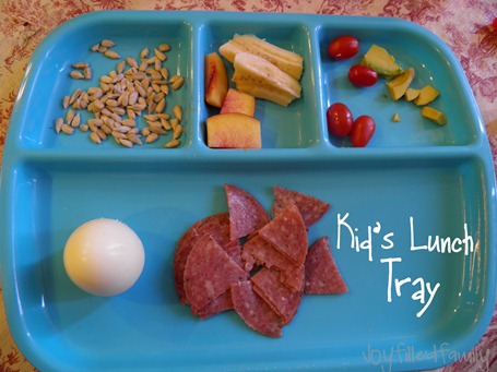 kids lunch tray