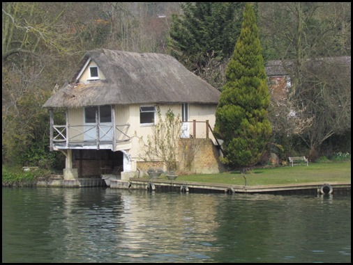 Goose in Thatch