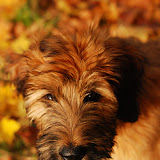 Abi - DSC_0006.jpg