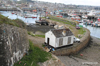 IMG_8018.JPG Photo