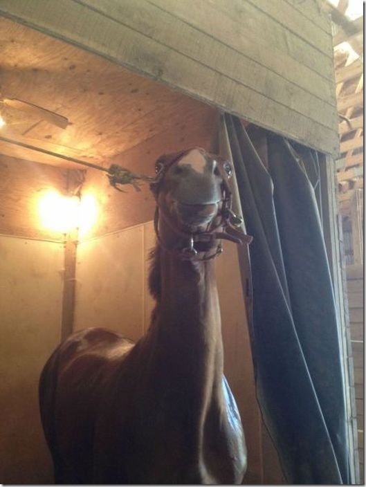 viral-picdump-pics-262448