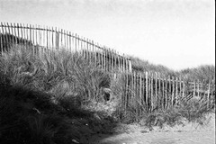 Sand-Dune-Fencing-11