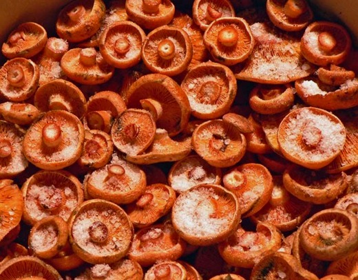 [1347547709798%255B6%255D.jpg]