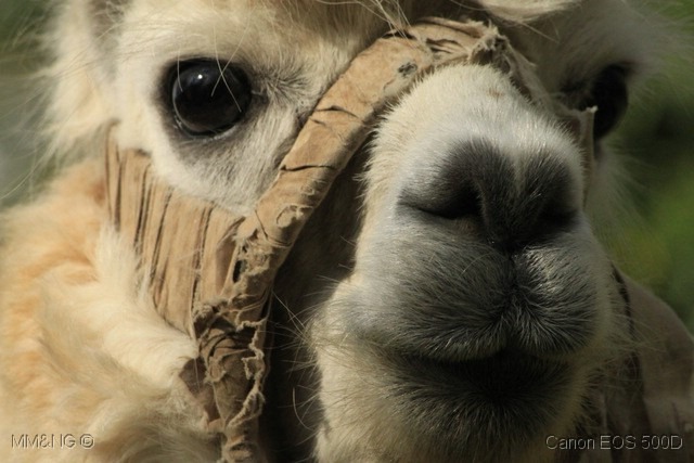 [IMG_4764%255B9%255D.jpg]