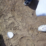 3rd grade trip to Piant Mine