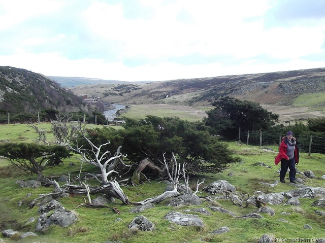 [teesdale%2520pw2%2520014%255B9%255D.jpg]