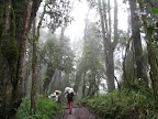 So green and wet and muddy.