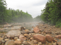 IMG_0890.JPG Photo