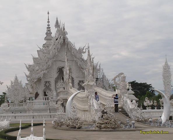 [IMG_75643.jpg]