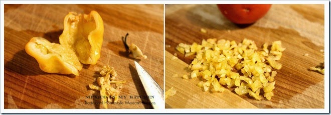 Xnipec Habanero Salsa Sauce1.jpg Xnipec Habanero Salsa Sauce1.jpg