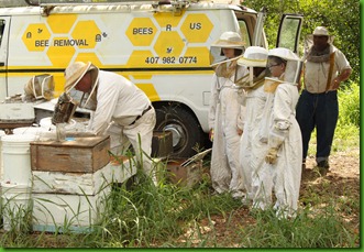 Bee outfits