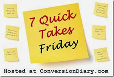 7_quick_takes_sm1 7_quick_takes_sm1
